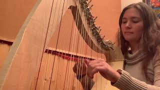 Fields Of Gold - Harp Cover - arr. Christy-Lyn Marais - Salvi Mia