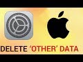 How to delete 'other' data on iPhone and iPad