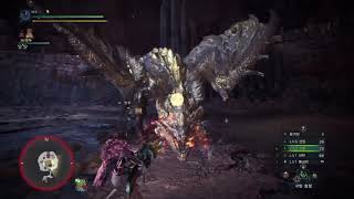 [MHW:IB] 총은 칼보다 강하다