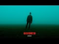 DANUZ - Goodbye (Ambient Music)