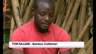 Nature Files: Bamboo, the plant of many uses