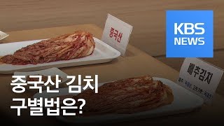 중국산 김치, ‘국산 둔갑’ 여전…구별법은? / KBS뉴스(News)