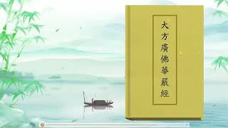 《大方廣佛華嚴經》 卷六十四   第七講    20231101    编号（65）