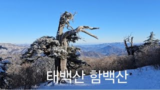 태백산 함백산 멋진상고대♡ 2024년 1월 5일