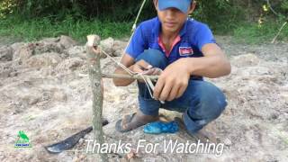 Amazing Quick Bird Perch Snare Trap   Survival bird traps Works 100%   How to catch a bird