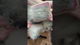 Preparing fleece: picking and hand carding/Подготовка руна к прядению: перечесывание #пряха #fleece