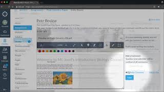 Peer Reviews Canvas Tutorial Video Series