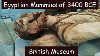 British Museum London | Egyptian Mummies of 3400 BCE | ৫৫০০ বছর আগের মমি দেখুন | Part 1