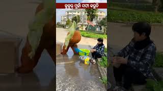 ଲୁଗା ନା ମାଇପ ଗାଲ 🤣 #funny #comedy #shorts #UdiaNana #youtube #youtubeshorts