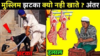 हलाल और झटका में क्या है फ़र्क? | मुस्लिम झटका क्यों नहीं खाते? Jhatka and Halal Meat Difference