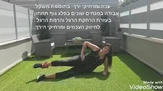 עכוזים ומרחיקים - רחלי ארנפלד