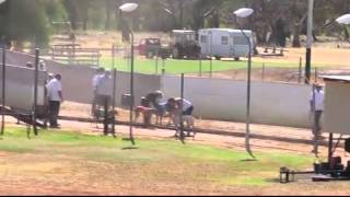 Gunnedah-02042016-RACE-3