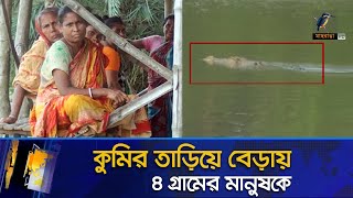 কুমির তা/ড়ি*য়ে বেড়াচ্ছে ৪ গ্রামের হাজারো মানুষকে | River Crocodile  | Maasranga News