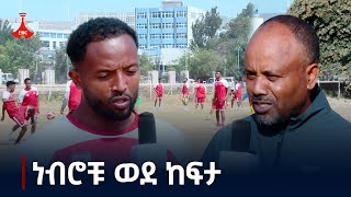 ኢትዮ ሊግ - ነብሮቹ ወደ ከፍታ  Etv | Ethiopia | News zena