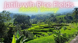 Jatiluwih Rice Fields, Bali | Stunning Drone Shots (DJI Mavic PRO)