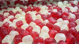 【製造風景】梅干飴の作り方（赤）/ 梅干し / How to make candy / Japan / Kyoto / making / 2025 / Pickled plum