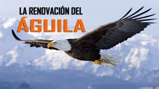 LA RENOVACIÓN DEL ÁGUILA