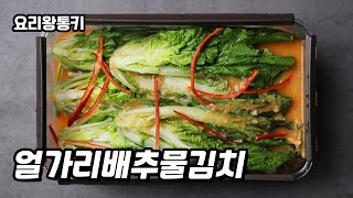 시원하고 아삭아삭 맛있는 초간단 얼가리배추물김치!! 짜박짜박하게~!! 맛있게~!!