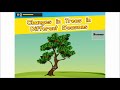 changes in trees in different seasons trees through the seasons science