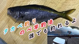 沼津でタカベ釣り！苦戦しながらも良い群れ見つけた2021年7月17日