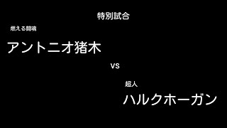 プロレス【特別試合】アントニオ猪木vsハルクホーガン