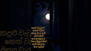 තමන්ගේ කතාව හරියටම දන්නේ තමන් විතරයි..😌#alone #shortsvideo #sad