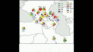 подлинная генетика даргинцев