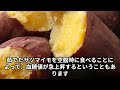 9割が知らない 朝食に食べた方がいい食べ物・避けた方がいい食べ物 食のひみつ 雑学 食材の効能 健康豆知識 朝食