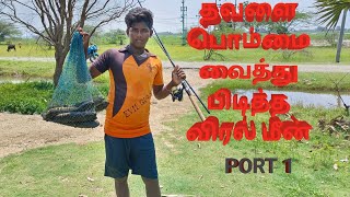 தவளை பொம்மை வைத்து விரால் மீன் பிடித்தல்#fishing #sanakhan #video #viral #vlog