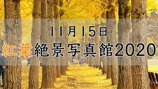 紅葉絶景写真館2020（11月15日）