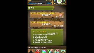 【パズドラ】リリース4周年前夜祭イベント ゴッドフェス後半 5連！