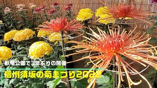 信州須坂の菊まつり2022【長野県須坂市への移住相談は信州須坂移住支援チームへ!!】