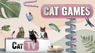 CAT Games | Ultimate Cat TV Compilation Vol 18 | 1 HOUR 🐝🐞🦋🦎🦜🐜🐭🧵
