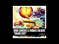 Thomas Solvert & Hugo Sanchez - Shamu 2021 (Big Room Mix)