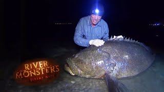 GOLIATH Grouper! | GROUPER | River Monsters