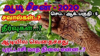 #dharmapurigardenorganicfood#தர்மபுரிமாடித்தோட்டம் ஆடி சீசன் 2020 பகுதி 5 /ஆடியில வெதைச்சது/ தமிழில்