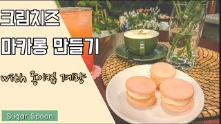 [종이컵계량] 자세한 설명으로 실패없는 마카롱 꼬끄 만들기/크림치즈 마카롱/위즈웰오븐/자취베이킹