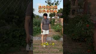 山东的豆橛子吃完了，大白菜的噩梦就来了！ 农村生活 新农人计划2024 记录真实生活 临沂炒鸡 农村美食