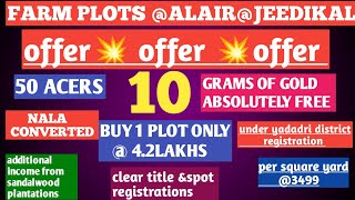 10 GRAMS GOLD FREE WITH 1 PLOT@4.2 LAKHS ONLY @ALAIR@JEEDIKAL