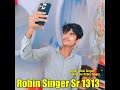 robin singer sr 1313