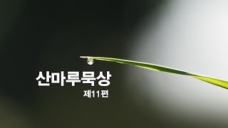 산마루묵상 제11편 \