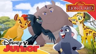 The Lion Guard: Bird of 1000 Voices - Music Video | Official Disney Junior Africa