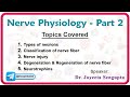 Nerve Physiology - Part 2