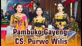 PAMBUKO GAYENG CAMPURSARI #PURWO WILIS TERBARU