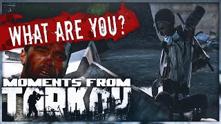 BEST MOMENTS ESCAPE FROM TARKOV  HIGHLIGHTS - EFT WTF \u0026 FUNNY MOMENTS  #49