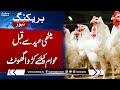 Kenaikan Besar-besaran Harga Ayam Jelang Lebaran | Samaa TV