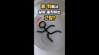 [🏆장려상 수상작] 물 위에서 살아 움직이는 그림?ㅣ제20회 경북과학축전 숏폼 콘테스트