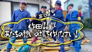 犬は喜びウッドデッキ駆け回り