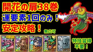 【ドラクエタクト】開花の扉38巻 運要素1回のみ！安定攻略！特技習得不要！立ち回り解説