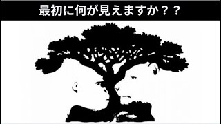 【心理テスト】一番最初に何が見える？？あなたの性格・欠点がわかる